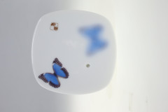 Japonský porcelánový držák na vonné tyčinky - Modrý motýl