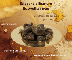 ETIOPSKÉ OLIBANUM (Boswellia rivae) 40g