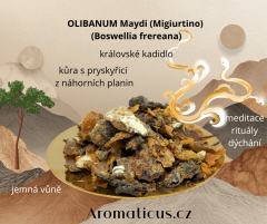 OLIBANUM MIGIURTINO (Boswellia frereana)