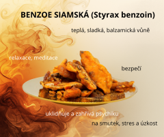 BENZOE SIAMSKÁ (Styrax benzoin) 20g
