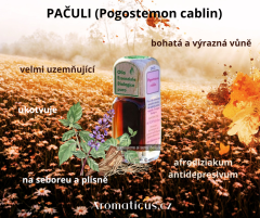 ŠALVĚJ MUŠKÁTOVÁ (Salvia sclarea) 100% éterický olej BIO (3)